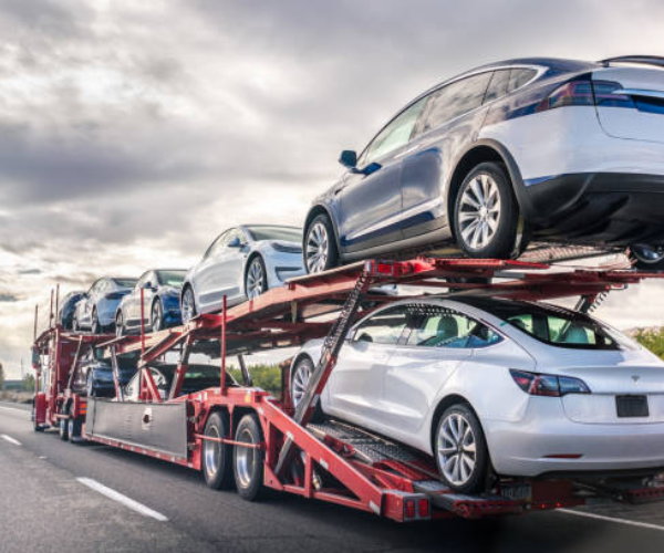 Untitled design (11)